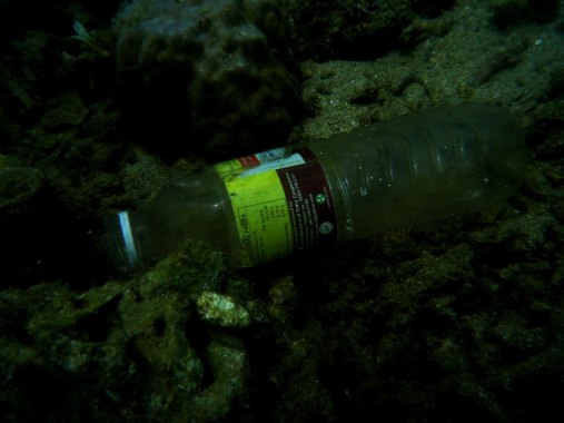 A plastic bottle over the corals